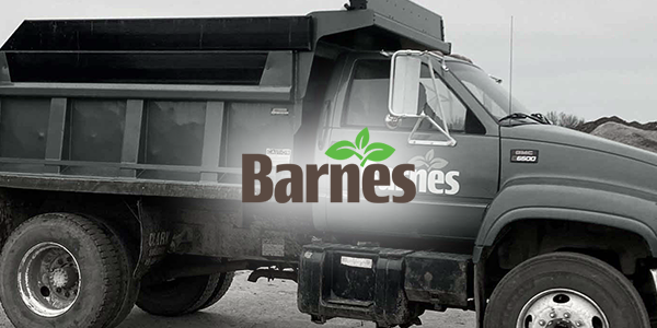 Barnes Logo