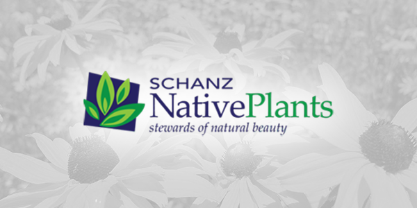 schanz native plants 1|schanz native plants